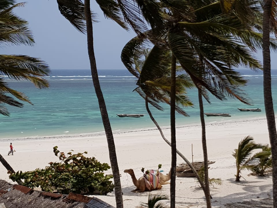 Ausblick vom Balkon Hotel Southern Palms Beach Resort