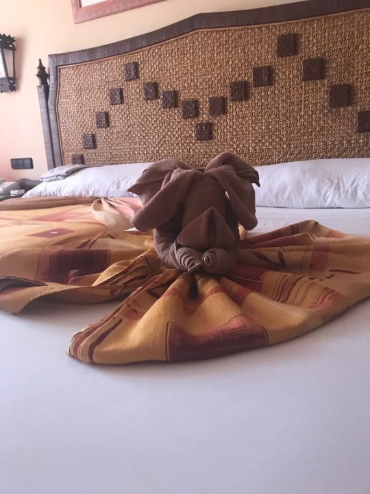 Zimmer Hotel Riu Touareg