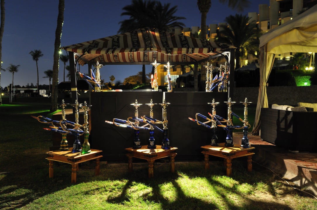 Bar JA Palm Tree Court