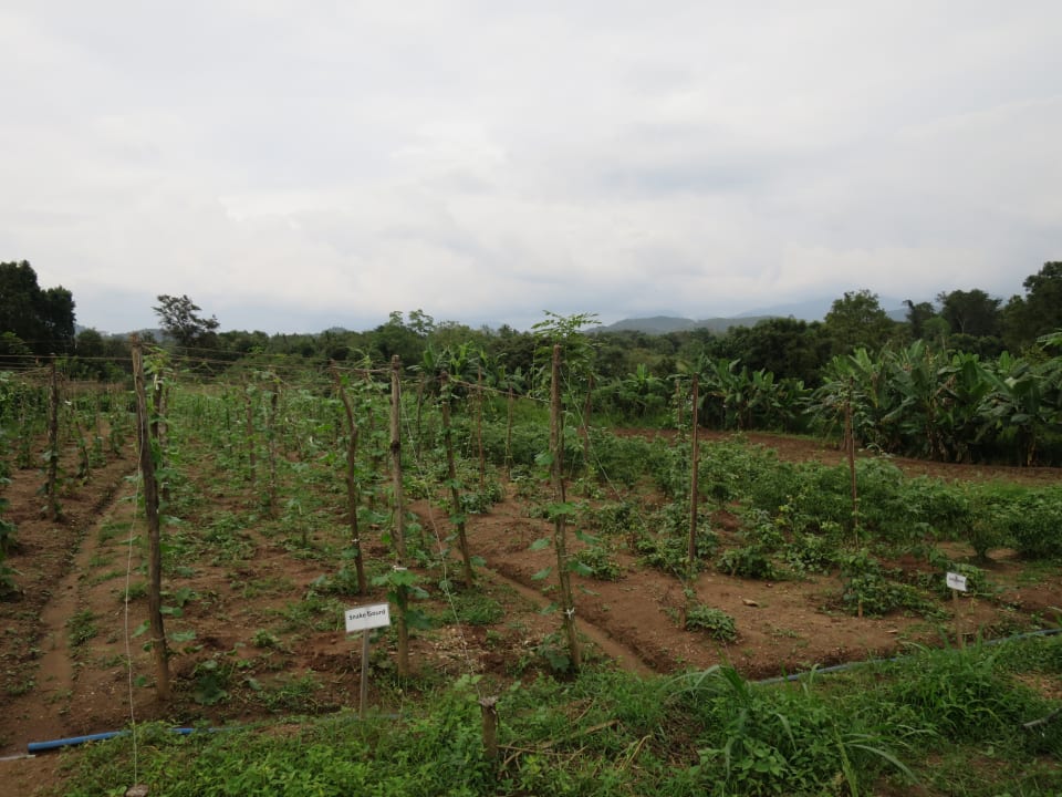 Gartenanlage Wild Glamping Gal Oya - Thema Collection