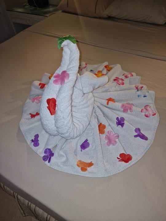 Zimmer Makadi Spa - Adults only