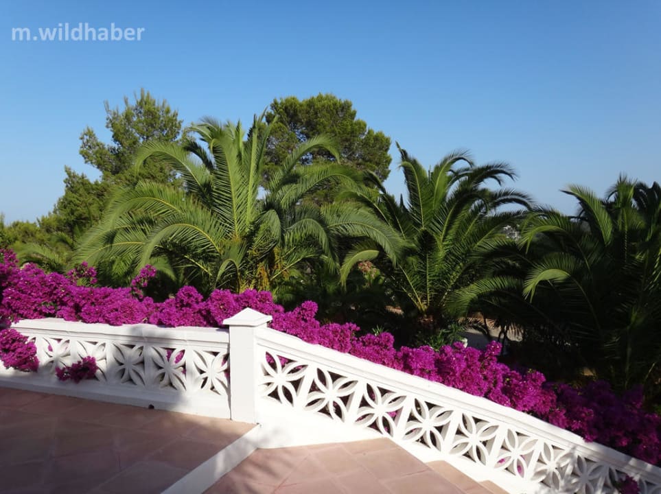 Gartenanlage Hacienda Encanto del Rio