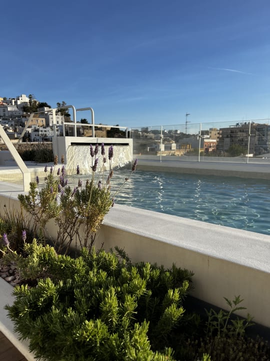 Pool The Standard, Ibiza