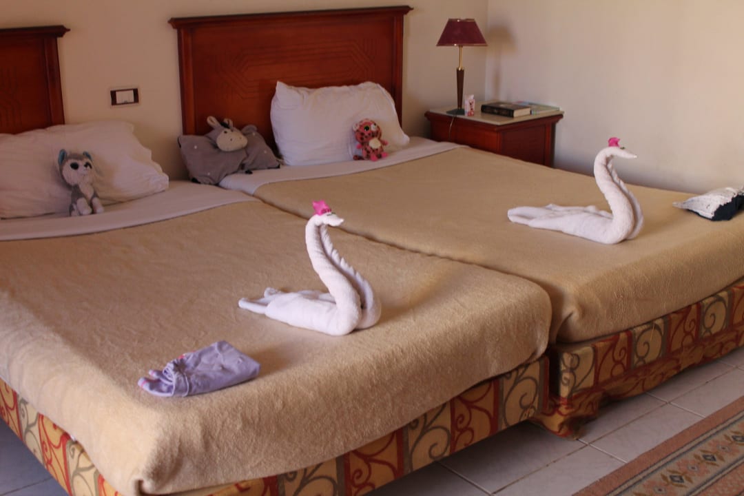 Noch mehr Schwäne Blend Club Aqua Resort