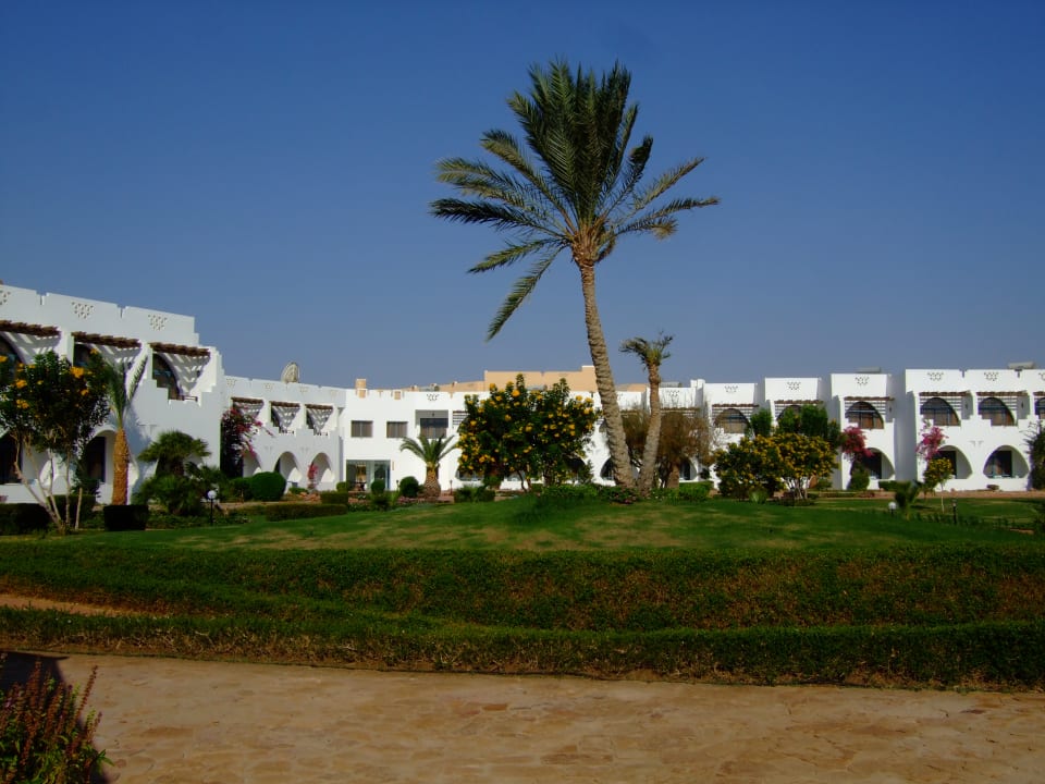 Gartenanlage Three Corners Equinox Beach Resort