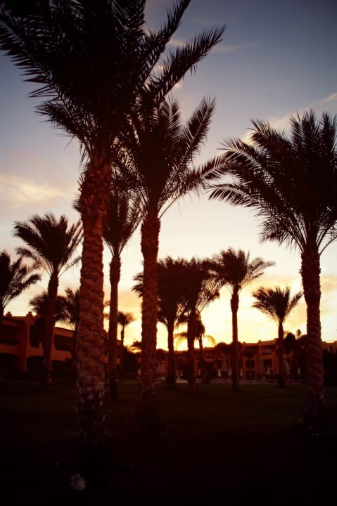 Вечером Stella Beach Resort & Spa Makadi Bay