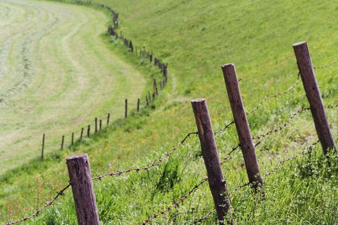Wiesen beim Huberhof Huberhof
