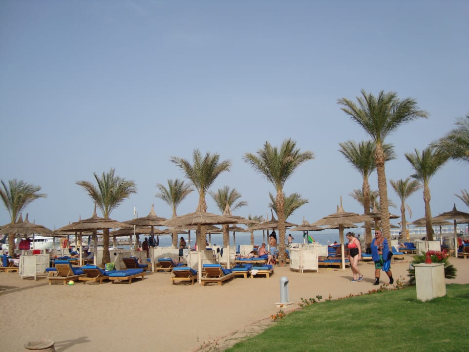 Gartenanlage Beach Albatros Resort
