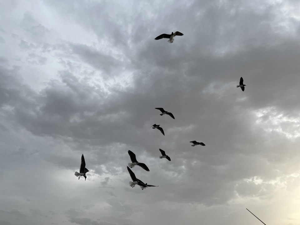 Ausblick ROBINSON SOMA BAY