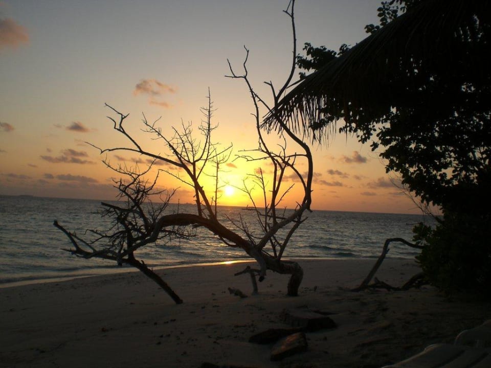 Son Biyadhoo Island Resort