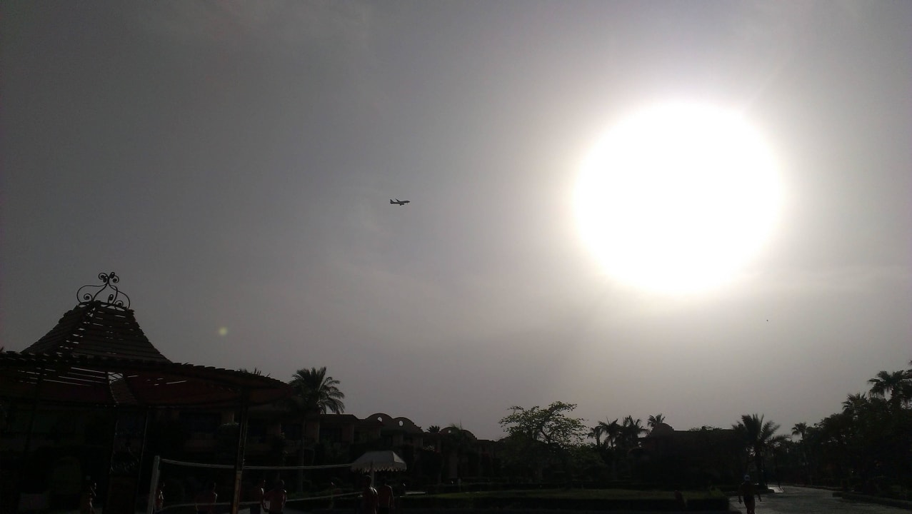 Самолёты шо птички шниряют Ali Baba Palace Resort