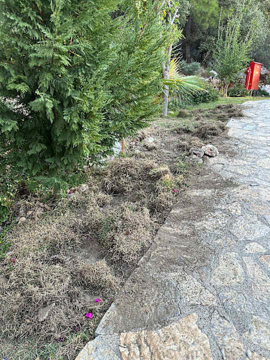 Gartenanlage TUI BLUE Seno - Adults Only