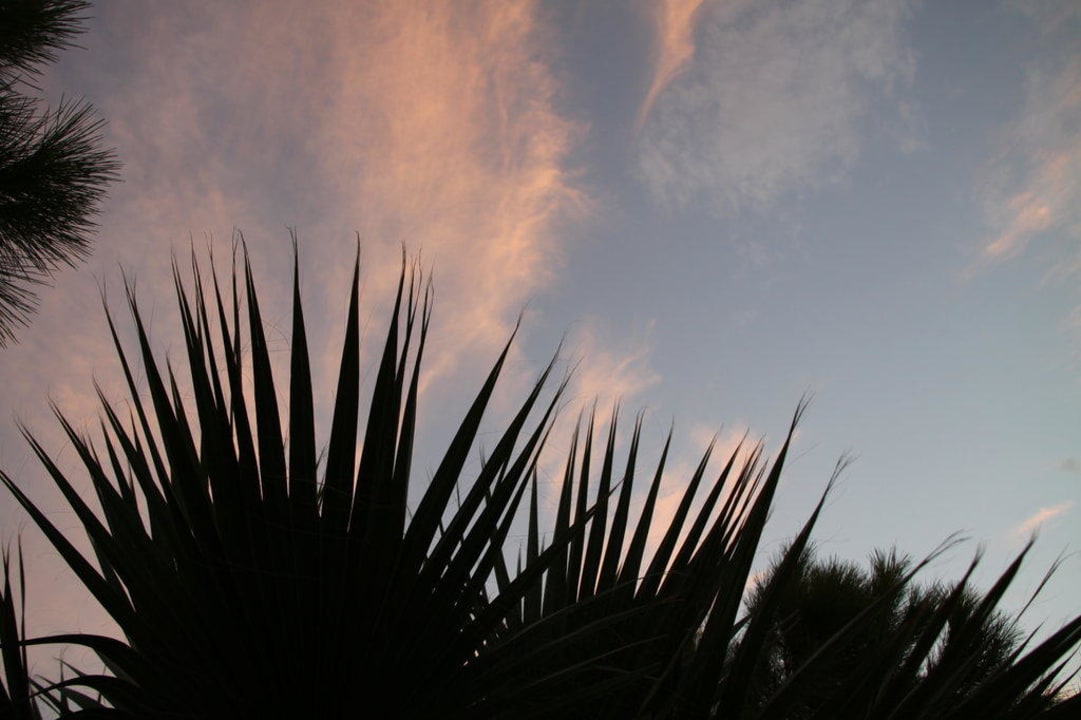 Voyage Belek  Voyage Belek Golf & Spa