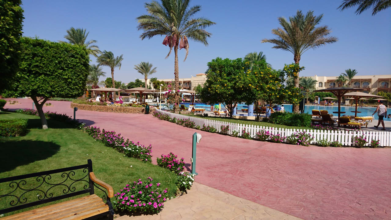 Gartenanlage Desert Rose