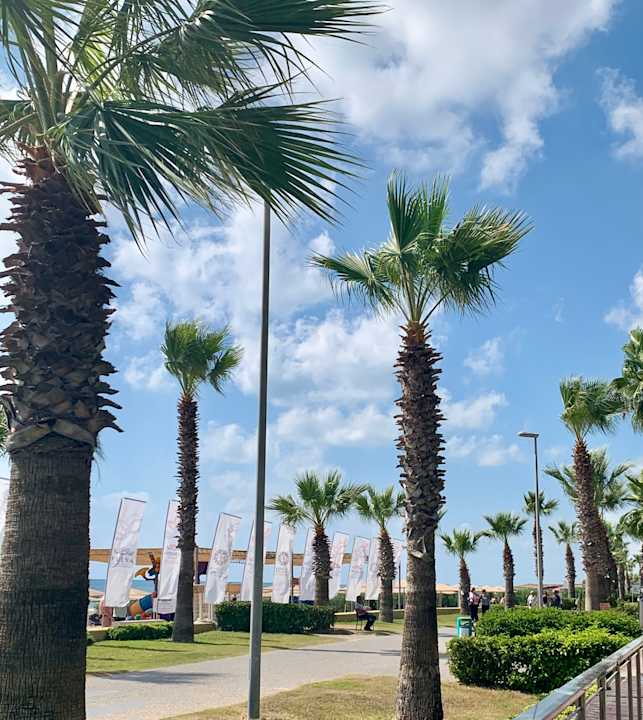 Strand Kamelya Aishen Club