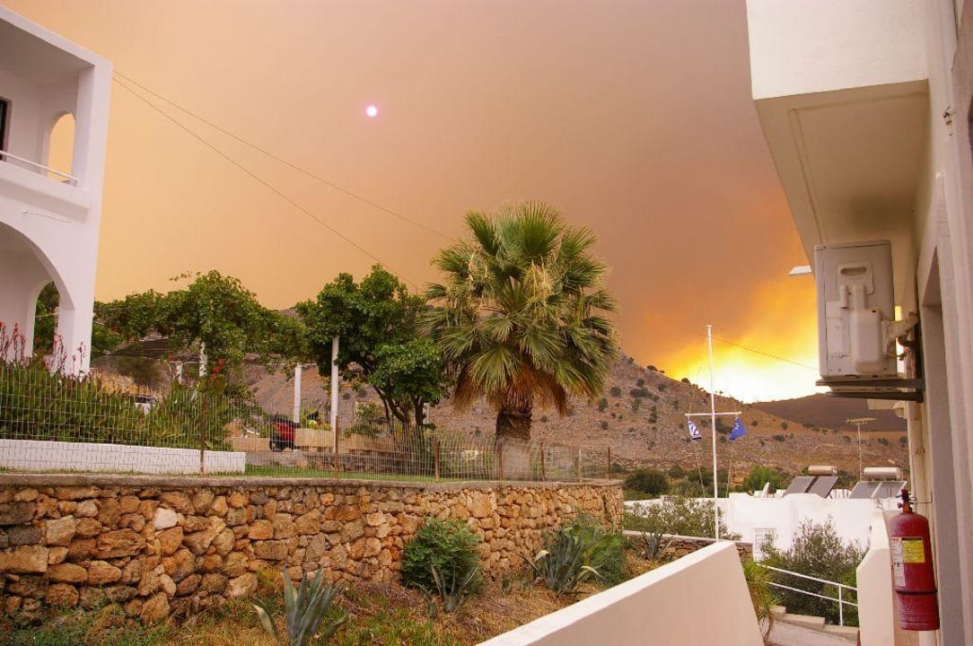 Großer Waldbrand Golden View Studios