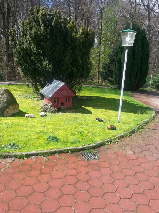 Blick vom Balkon Pension Am Golfplatz