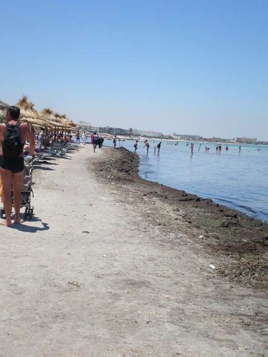 Algen und Müll Hotel Rosa Beach