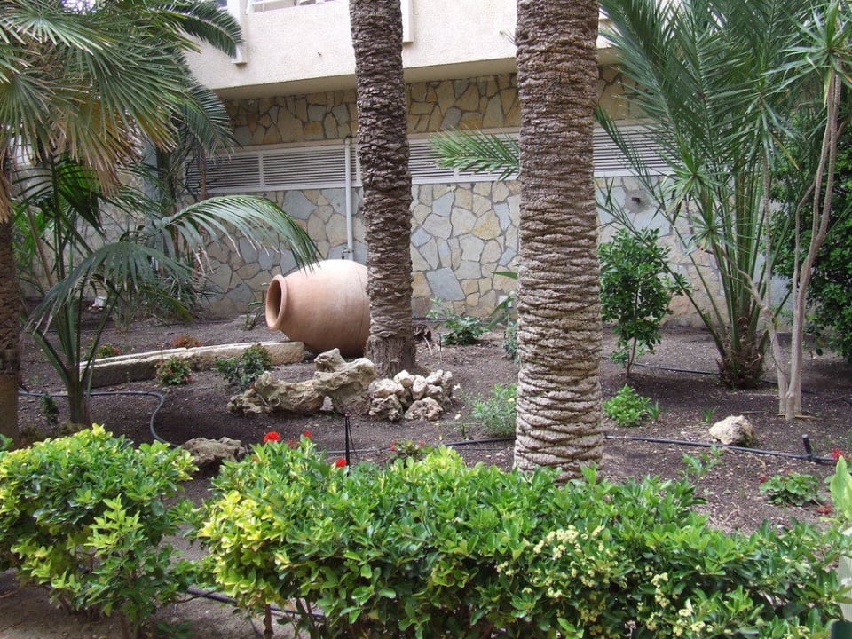 Eingangsbereich The Sea Hotel by Grupotel - Adults only