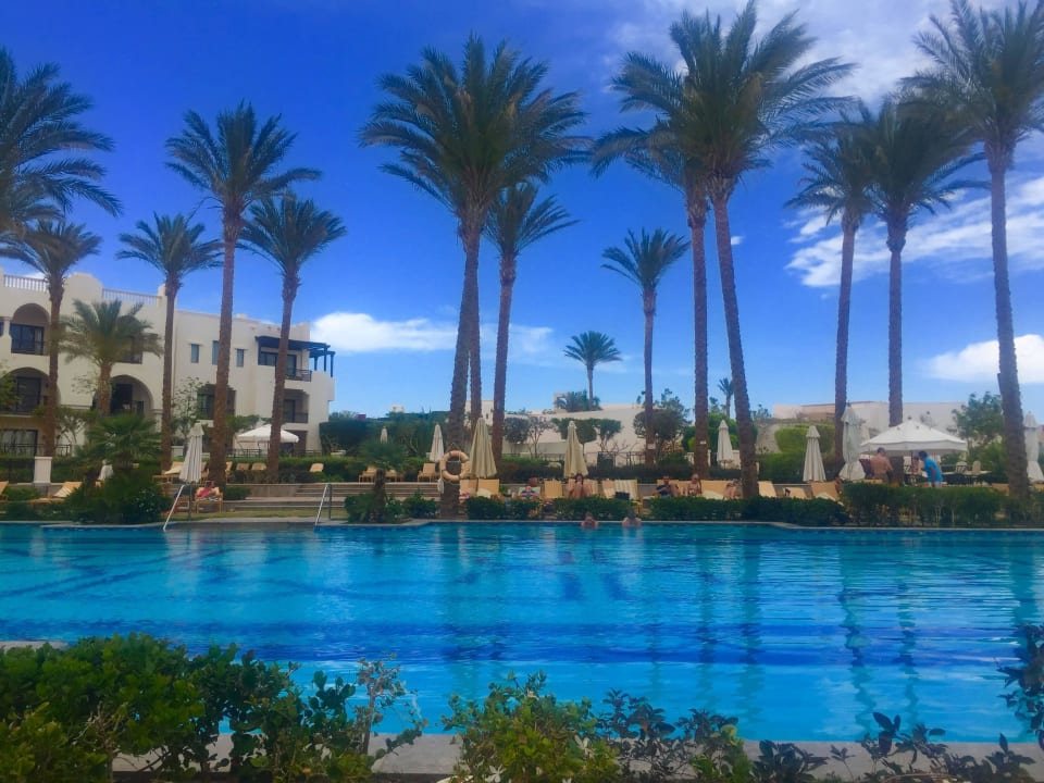 Pool Pickalbatros Palace Hotel-Port Ghalib