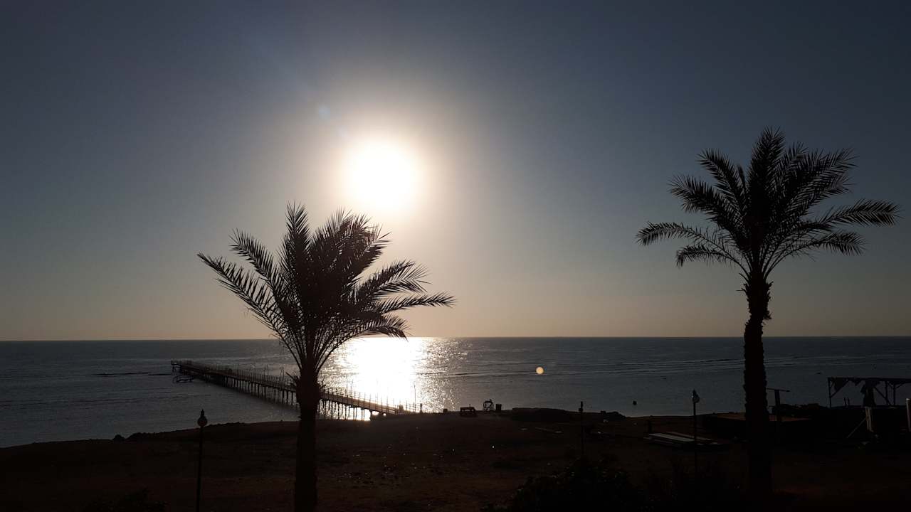 Ausblick Malikia Resort Abu Dabbab