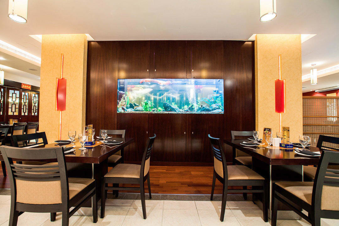 Daana-Paani Restaurant The Highland Mountain Resort & Spa
