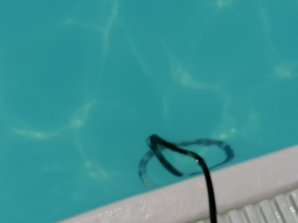 Pool MP Club Caleta Dorada