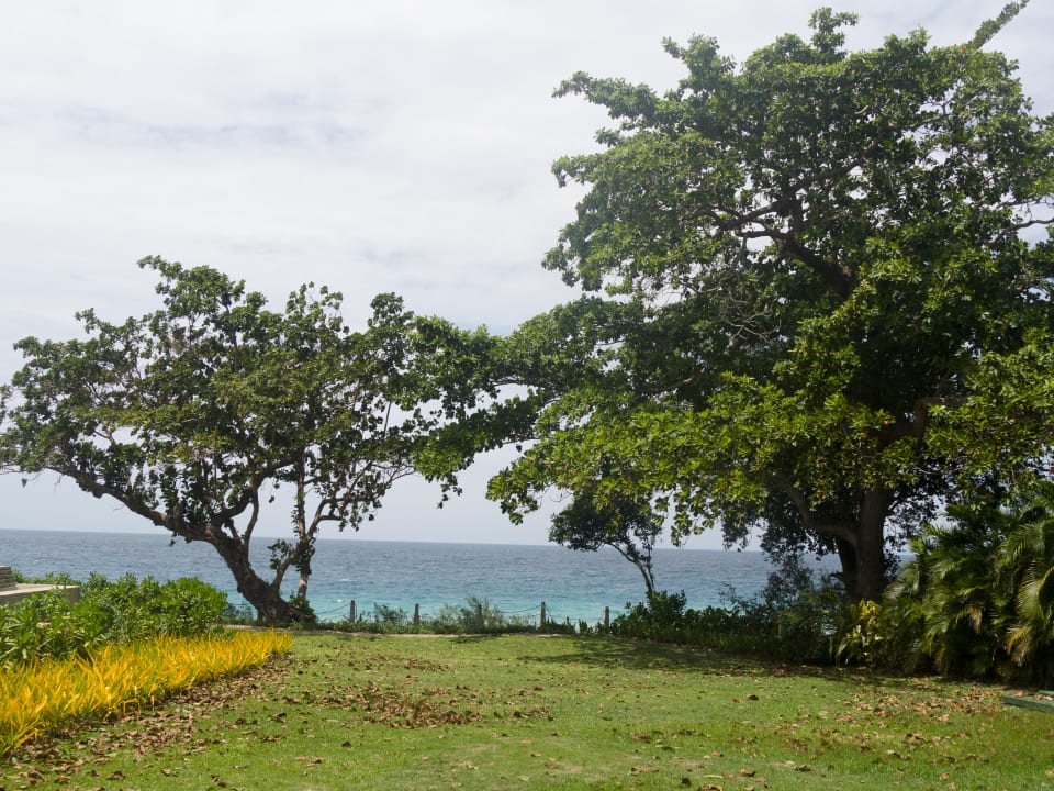 Gartenanlage Hotel Amorita Resort