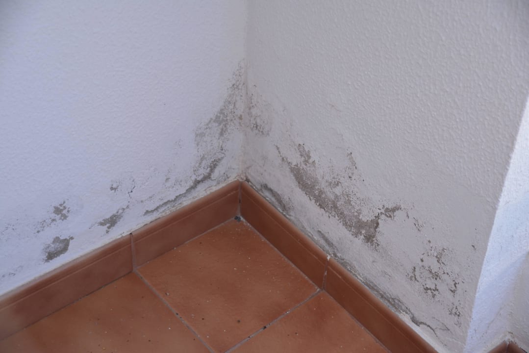 Balkon vom Zimmer Occidental Roca Negra