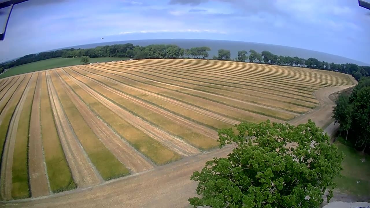 Ausblick Ferienbauernhof Liesenberg mit Meerblick