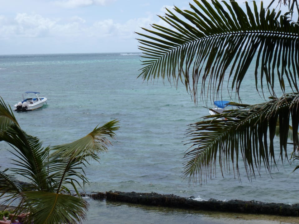 Ausblick/Balkon Tropical Attitude - Adults only
