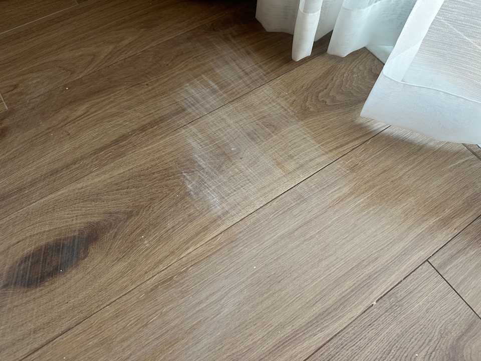 Zimmer Royal Atlantis Icon