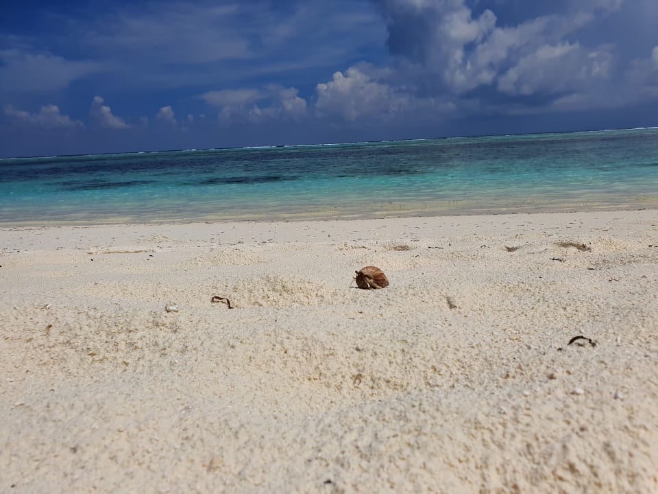 Strand Meeru Maldives Resort Island