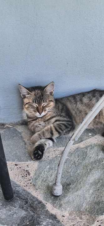 Gartenanlage Hotel Zephyros