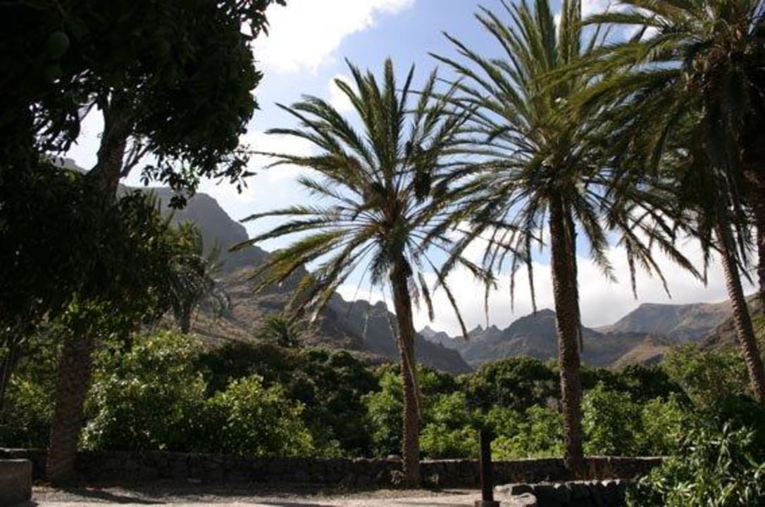 Blick in Richtung Berge Hotel Finca El Cabrito