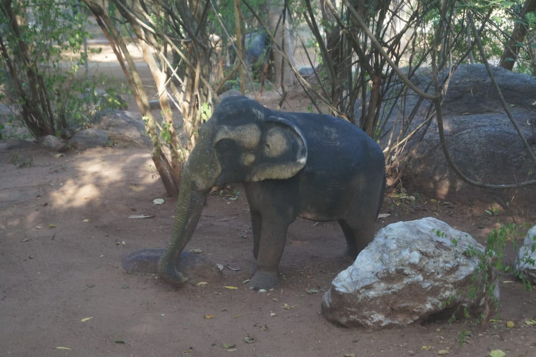 Gartenanlage Hotel Elephant Reach