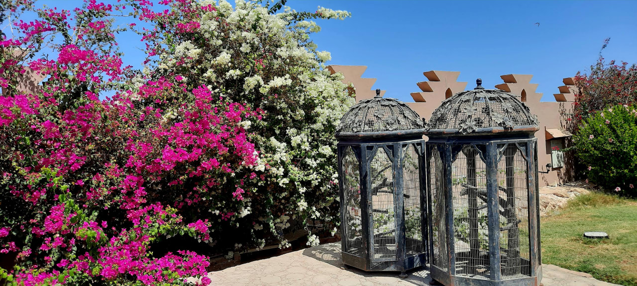 Gartenanlage Makadi Palace