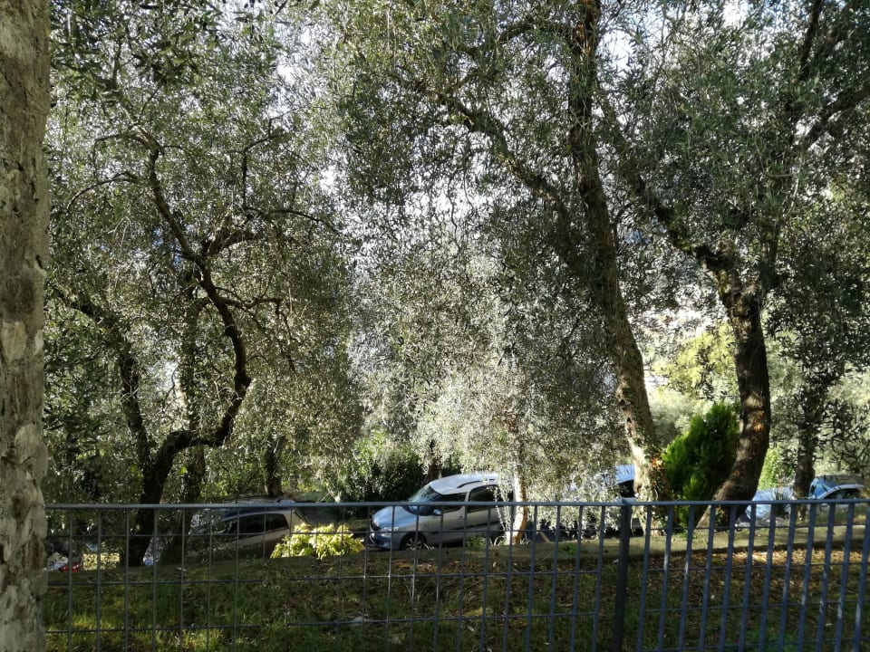 Zimmer 6106, leider ohne Seeblick Centro Vacanze La Limonaia