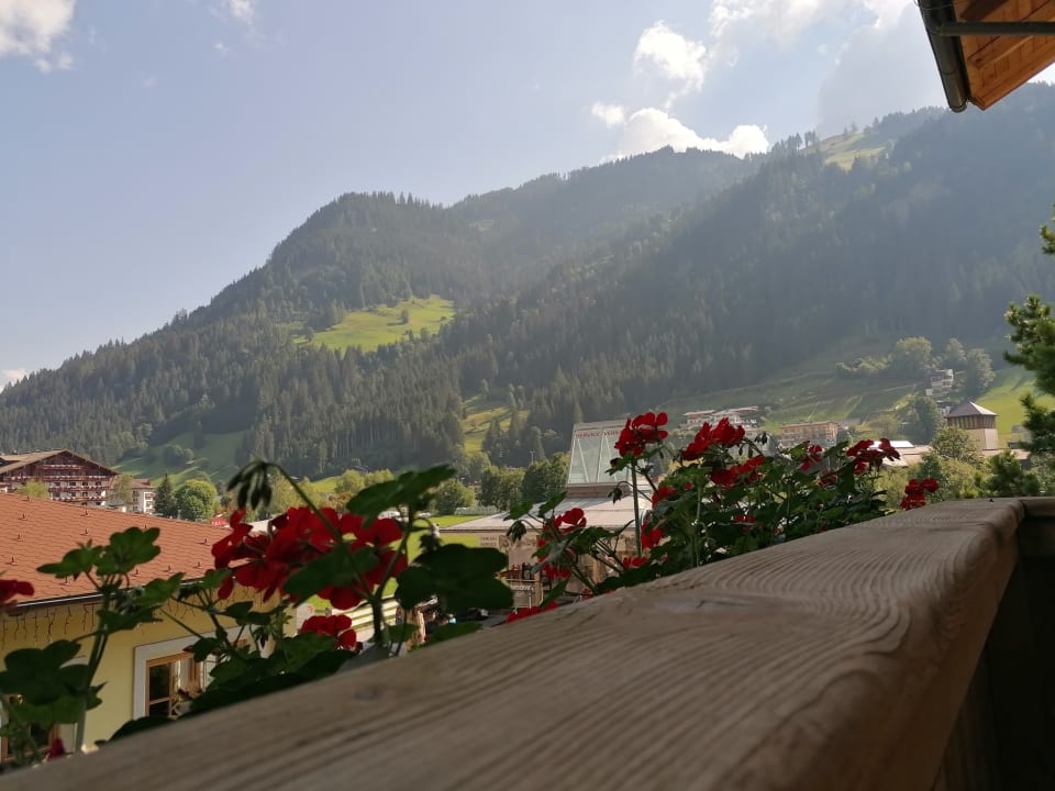 Ausblick Hotel Auhof