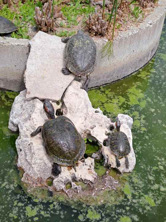Sonstiges Hotel Residence Santa Chiara