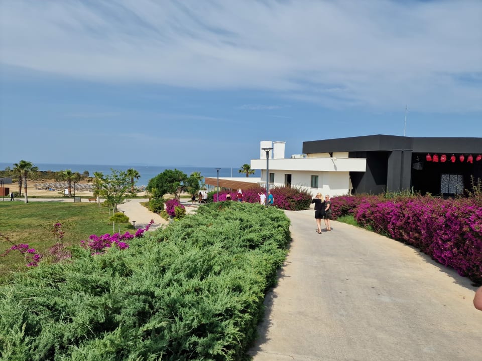 Gartenanlage Aquasis De Luxe Resort & Spa