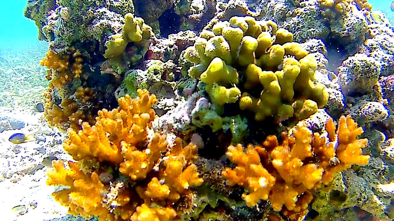 Sport & Freizeit Adaaran Select Hudhuran Fushi - Premium All Inclusive