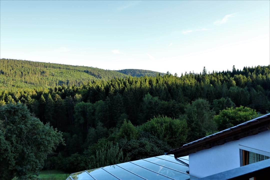 Ausblick Schwarzwaldhotel-Gasthof Hirsch