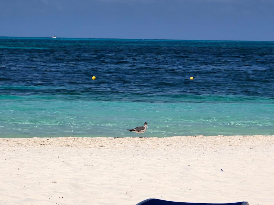 Strand Hotel Riu Caribe