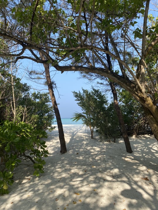 Gartenanlage Summer Island Maldives