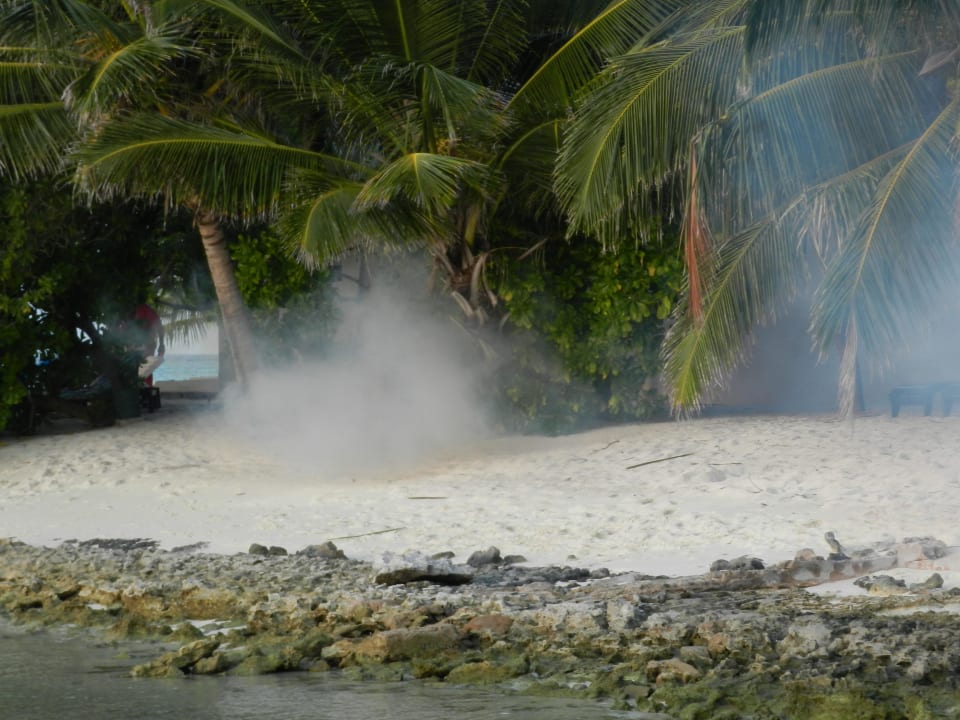 Mückentötolin Summer Island Maldives