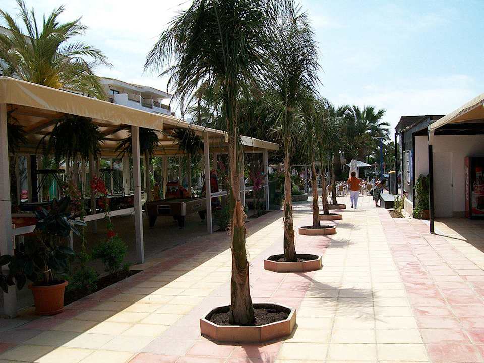 Sonstiges Motiv FERGUS Style Bahamas