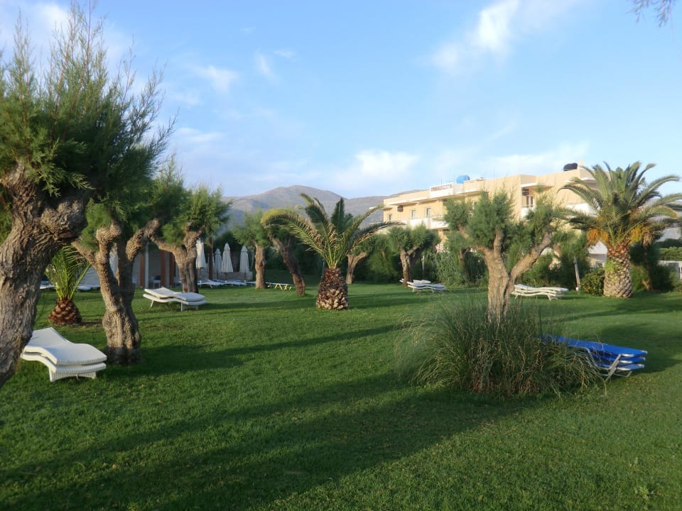 Liegewiese Phãea Cretan Malia