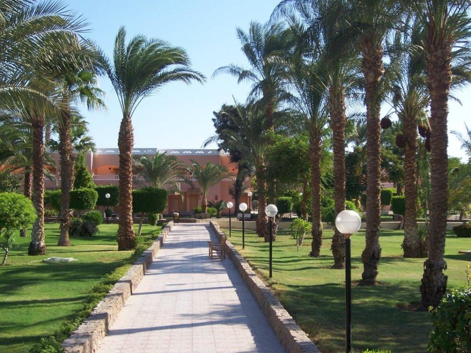 Ogród Beach Albatros Resort