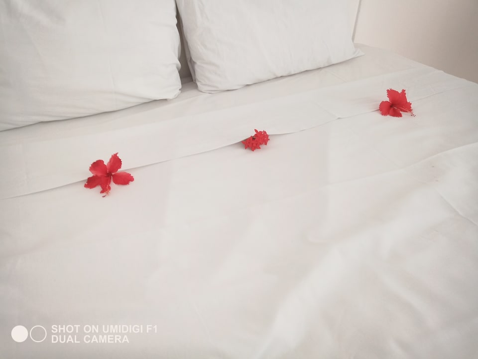 Zimmer Hotel Viva Dominicus Beach by Wyndham - All Inclusive Resort